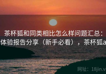 茶杯狐和同类相比怎么样问题汇总：体验报告分享（新手必看），茶杯狐a