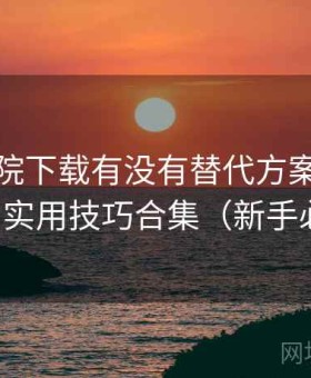 蜂鸟影院下载有没有替代方案实测结果：实用技巧合集（新手必看）