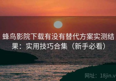 蜂鸟影院下载有没有替代方案实测结果：实用技巧合集（新手必看）