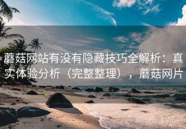 蘑菇网站有没有隐藏技巧全解析：真实体验分析（完整整理），蘑菇网片