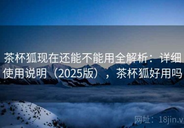茶杯狐现在还能不能用全解析：详细使用说明（2025版），茶杯狐好用吗