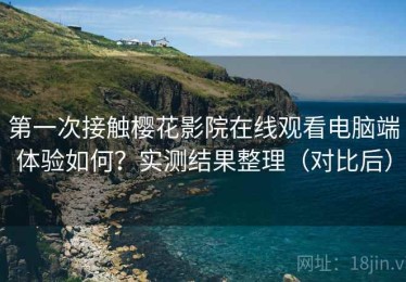 第一次接触樱花影院在线观看电脑端体验如何？实测结果整理（对比后）