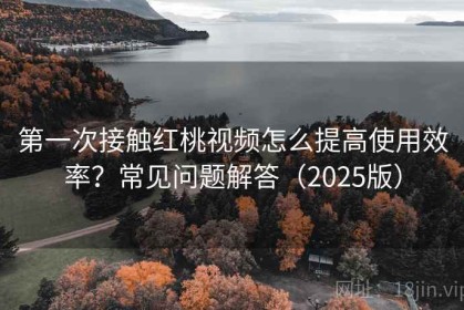 第一次接触红桃视频怎么提高使用效率？常见问题解答（2025版）