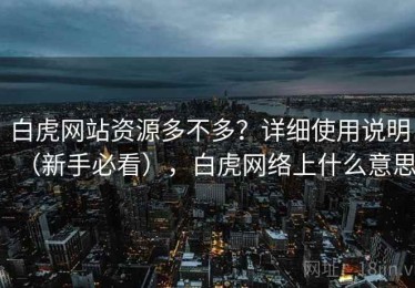 白虎网站资源多不多？详细使用说明（新手必看），白虎网络上什么意思