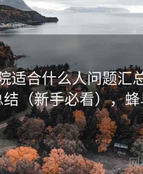 蜂鸟影院适合什么人问题汇总：对比分析总结（新手必看），蜂鸟映院