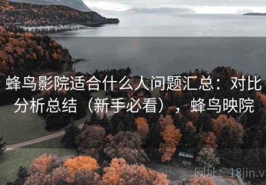 蜂鸟影院适合什么人问题汇总：对比分析总结（新手必看），蜂鸟映院