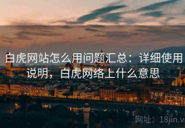 白虎网站怎么用问题汇总：详细使用说明，白虎网络上什么意思