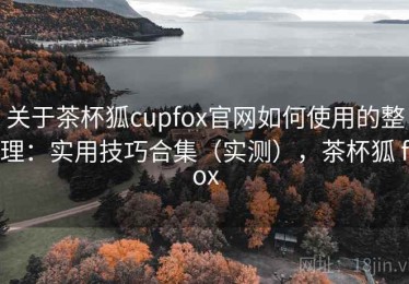关于茶杯狐cupfox官网如何使用的整理：实用技巧合集（实测），茶杯狐 fox