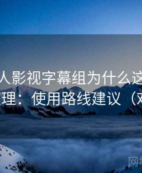 关于人人影视字幕组为什么这么多人用的整理：使用路线建议（对比后）