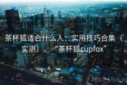 茶杯狐适合什么人：实用技巧合集（实测），“茶杯狐cupfox”