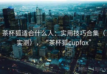 茶杯狐适合什么人：实用技巧合集（实测），“茶杯狐cupfox”