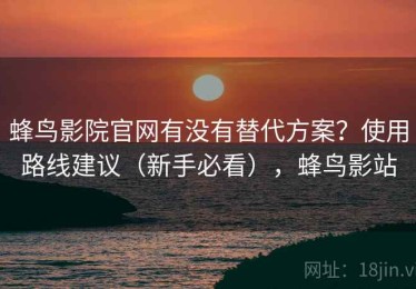 蜂鸟影院官网有没有替代方案？使用路线建议（新手必看），蜂鸟影站