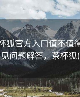 关于茶杯狐官方入口值不值得用的整理：常见问题解答，茶杯狐(upfox)