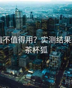 茶杯狐值不值得用？实测结果整理，1.茶杯狐