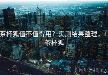 茶杯狐值不值得用？实测结果整理，1.茶杯狐