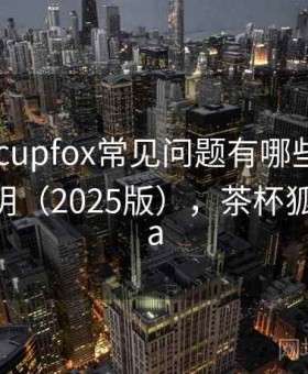 茶杯狐 cupfox常见问题有哪些：详细使用说明（2025版），茶杯狐cupfoxa