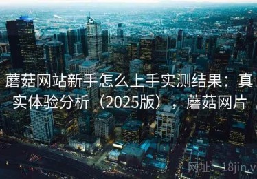 蘑菇网站新手怎么上手实测结果：真实体验分析（2025版），蘑菇网片