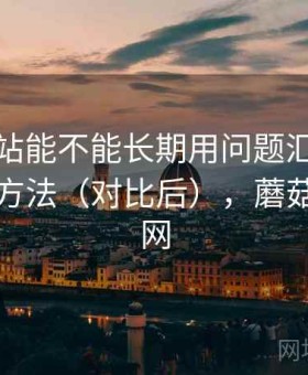蘑菇网站能不能长期用问题汇总：效率提升方法（对比后），蘑菇网络官网