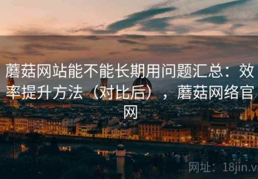 蘑菇网站能不能长期用问题汇总：效率提升方法（对比后），蘑菇网络官网