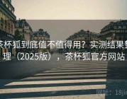茶杯狐到底值不值得用？实测结果整理（2025版），茶杯狐官方网站