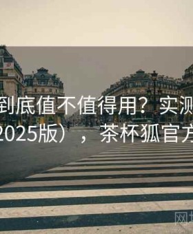 茶杯狐到底值不值得用？实测结果整理（2025版），茶杯狐官方网站