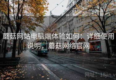 蘑菇网站电脑端体验如何：详细使用说明，蘑菇网络官网