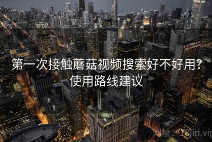 第一次接触蘑菇视频搜索好不好用？使用路线建议