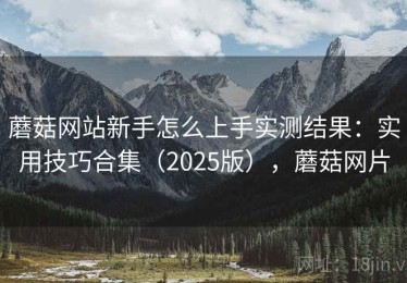 蘑菇网站新手怎么上手实测结果：实用技巧合集（2025版），蘑菇网片