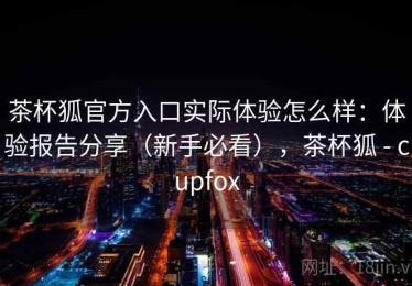 茶杯狐官方入口实际体验怎么样：体验报告分享（新手必看），茶杯狐 - cupfox