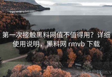 第一次接触黑料网值不值得用？详细使用说明，黑料网 rmvb 下载