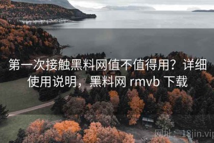 第一次接触黑料网值不值得用？详细使用说明，黑料网 rmvb 下载