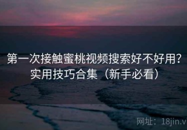 第一次接触蜜桃视频搜索好不好用？实用技巧合集（新手必看）