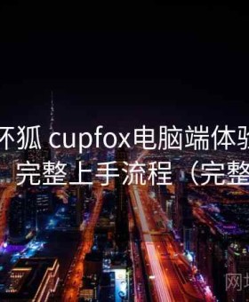 关于茶杯狐 cupfox电脑端体验如何的整理：完整上手流程（完整整理）