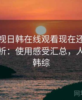 人人影视日韩在线观看现在还能不能用全解析：使用感受汇总，人人视频韩综