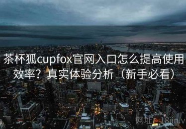 茶杯狐cupfox官网入口怎么提高使用效率？真实体验分析（新手必看）