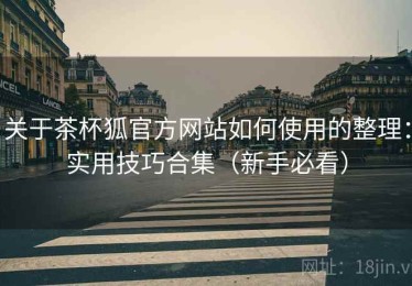 关于茶杯狐官方网站如何使用的整理：实用技巧合集（新手必看）