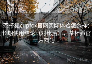 茶杯狐cupfox官网实际体验怎么样：长期使用结论（对比后），茶杯狐官方网站