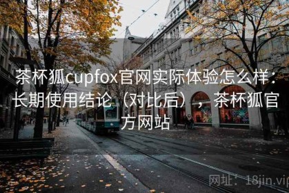 茶杯狐cupfox官网实际体验怎么样：长期使用结论（对比后），茶杯狐官方网站