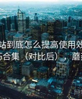 蘑菇网站到底怎么提高使用效率？实用技巧合集（对比后），蘑菇网片