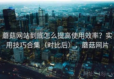 蘑菇网站到底怎么提高使用效率？实用技巧合集（对比后），蘑菇网片