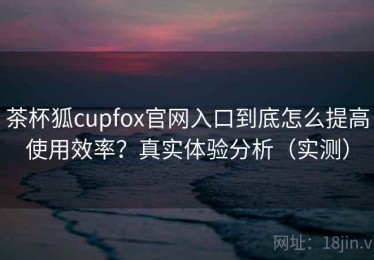 茶杯狐cupfox官网入口到底怎么提高使用效率？真实体验分析（实测）