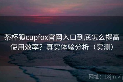 茶杯狐cupfox官网入口到底怎么提高使用效率？真实体验分析（实测）