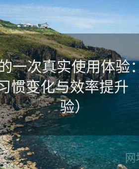 白虎91的一次真实使用体验：高频使用后的习惯变化与效率提升（长期体验）