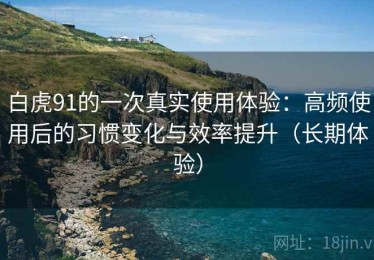 白虎91的一次真实使用体验：高频使用后的习惯变化与效率提升（长期体验）
