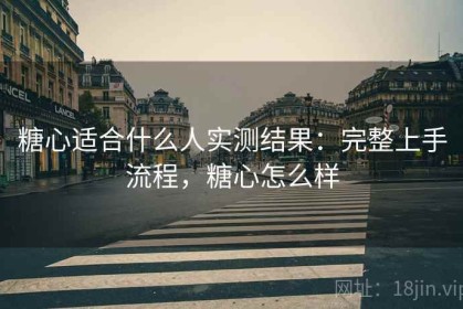 糖心适合什么人实测结果：完整上手流程，糖心怎么样
