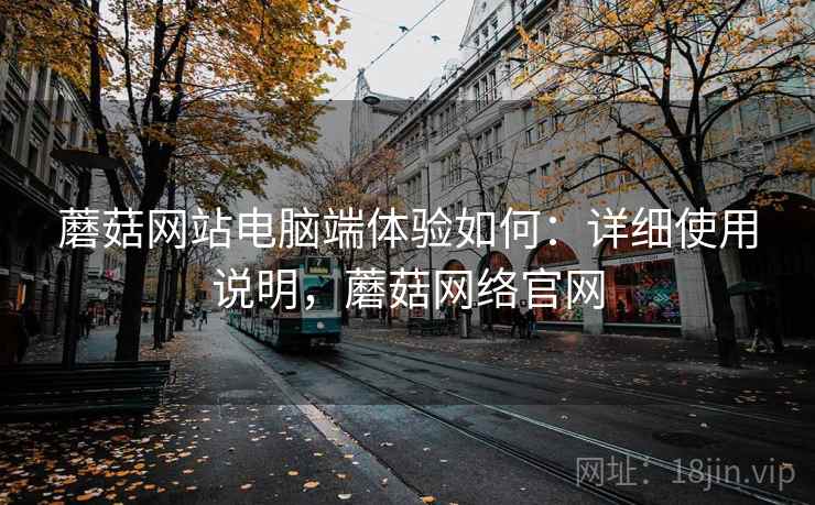 蘑菇网站电脑端体验如何：详细使用说明，蘑菇网络官网