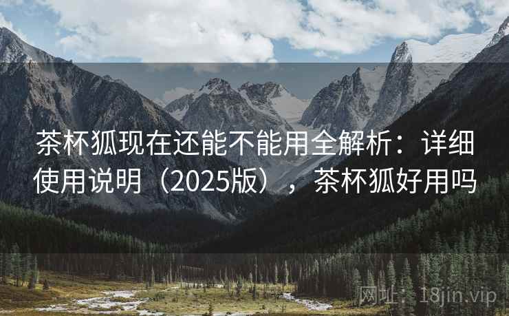 茶杯狐现在还能不能用全解析：详细使用说明（2025版），茶杯狐好用吗