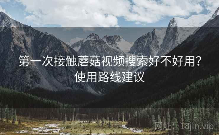 第一次接触蘑菇视频搜索好不好用？使用路线建议