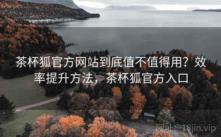 茶杯狐官方网站到底值不值得用？效率提升方法，茶杯狐官方入口