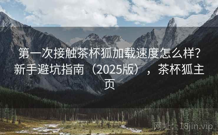 第一次接触茶杯狐加载速度怎么样？新手避坑指南（2025版），茶杯狐主页